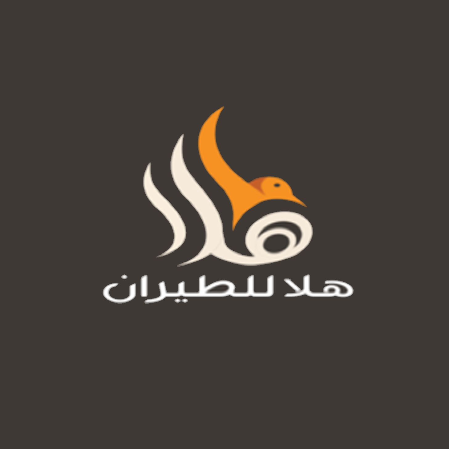 هلا للطيران